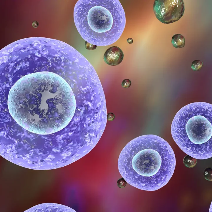 Illustration of exosome & cells